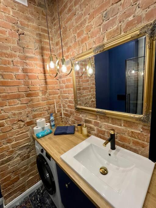 Luxury Apartment In Gliwice Near Town Square ภายนอก รูปภาพ